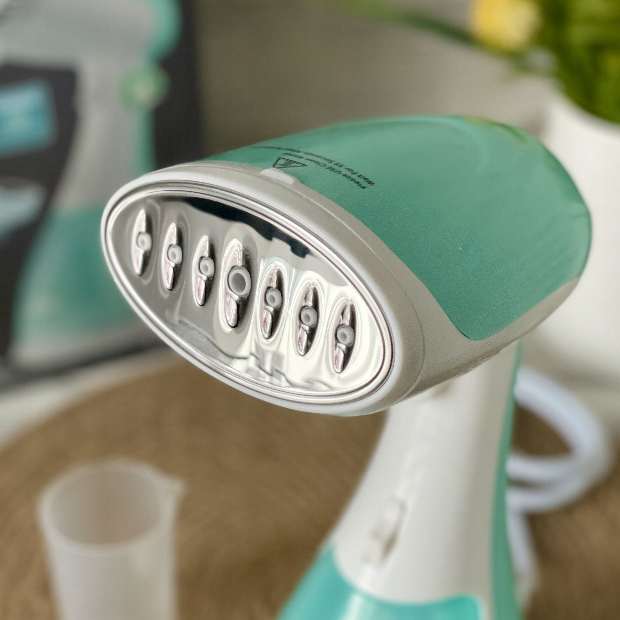 Steamer Hand Steamer for Fabric Clothes GREEN Light Brand RAF