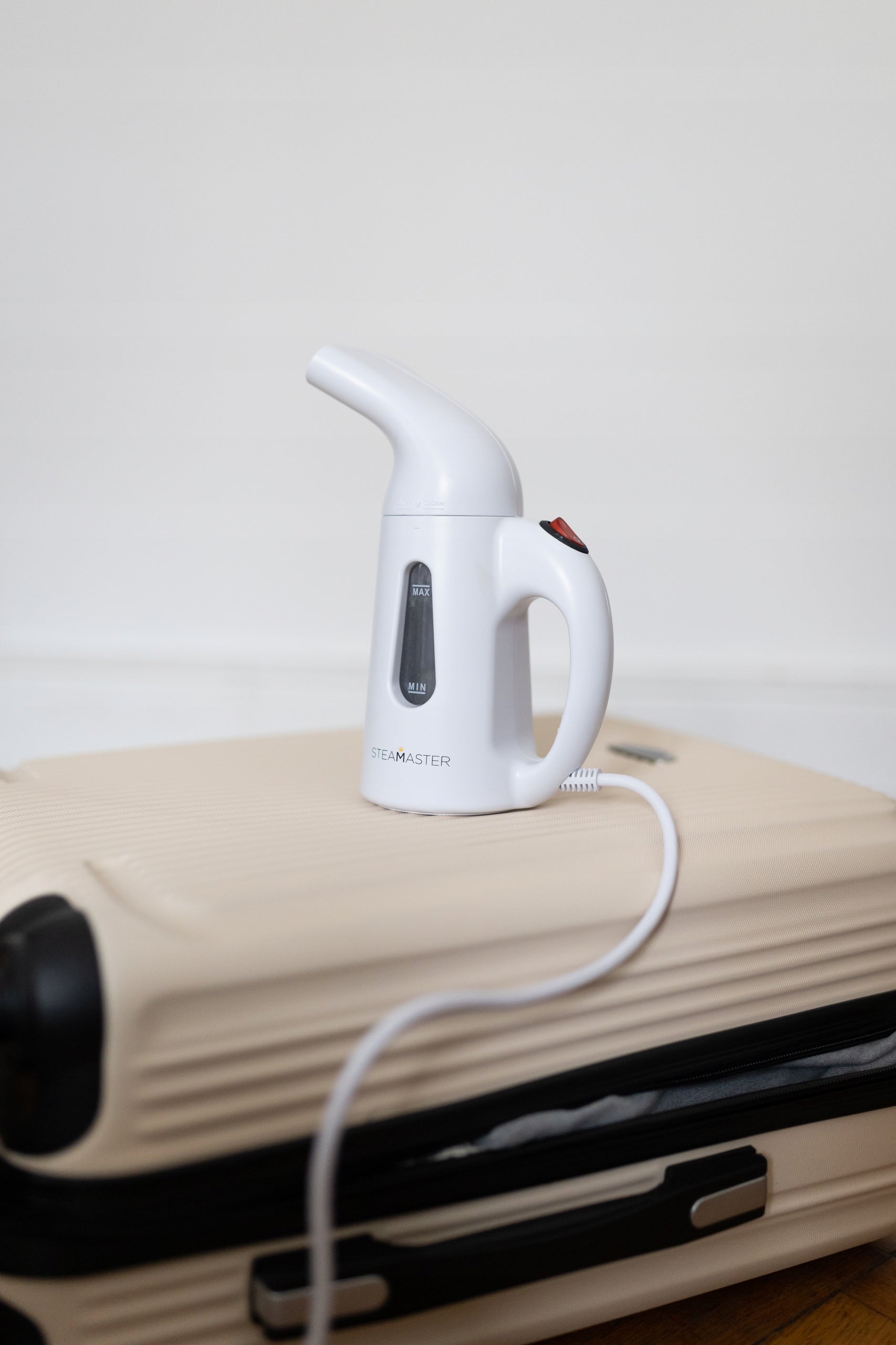 Steamer for clothes SteaMaster EM-02 800 W Dominant color white