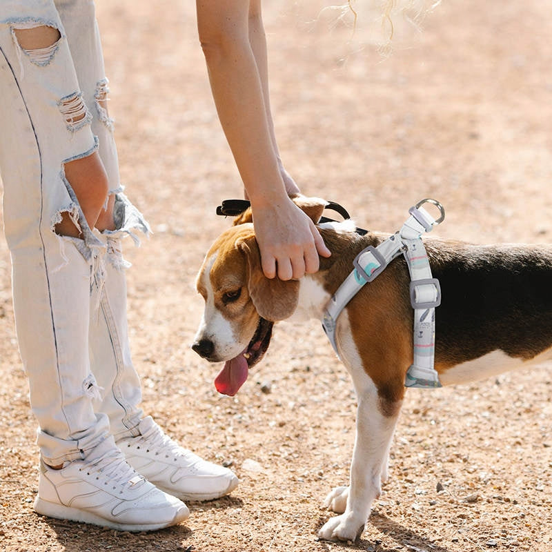 Step in dog harness, soft, SHIH TZU ,size M Brand Tailup