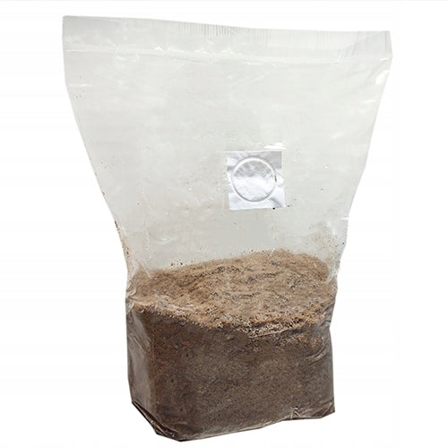Sterilized substrate for mushroom cultivation – ready and safe for mycelium
