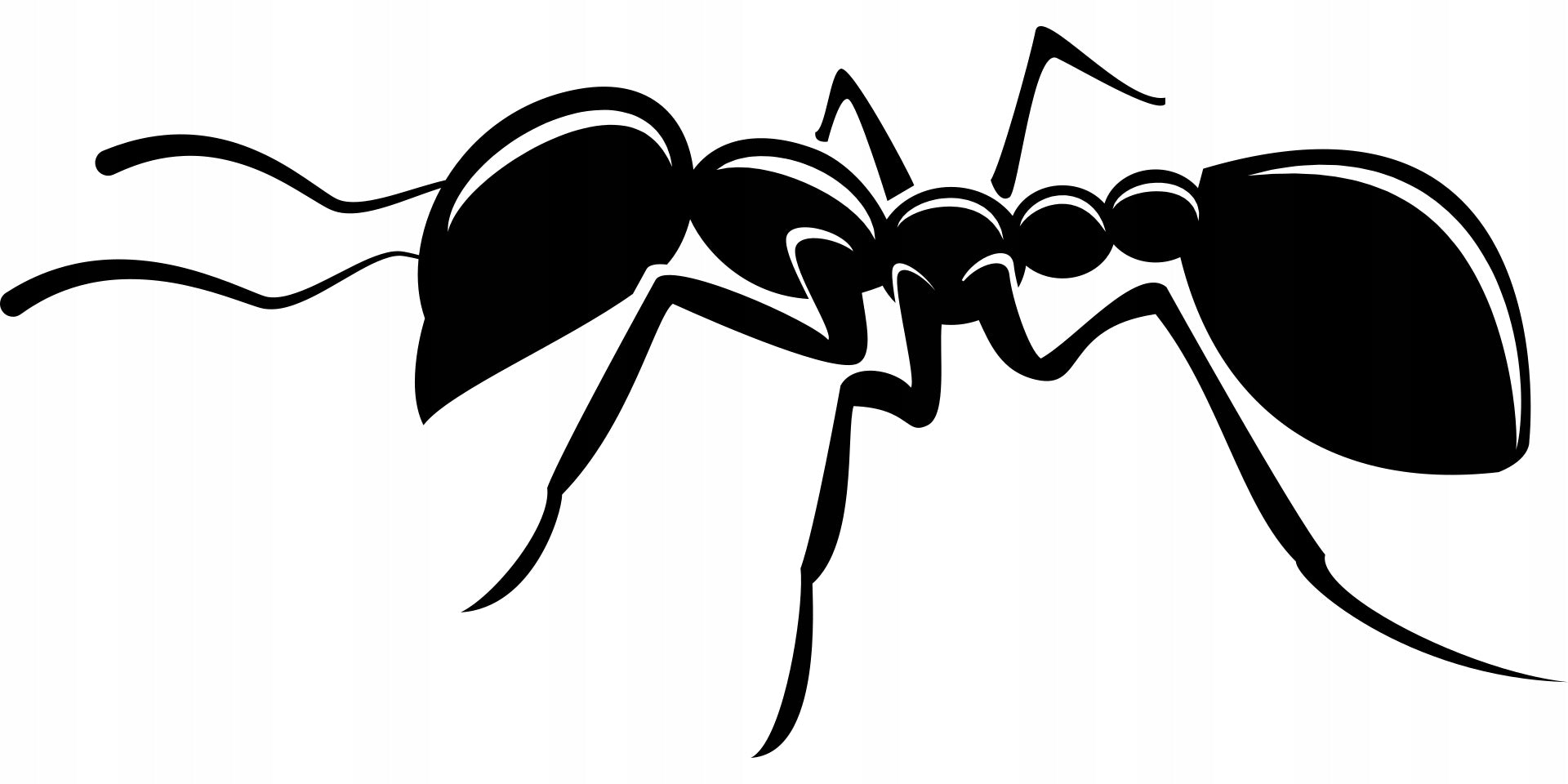 Sticker without background for car ANT 8 x 17,1 cm