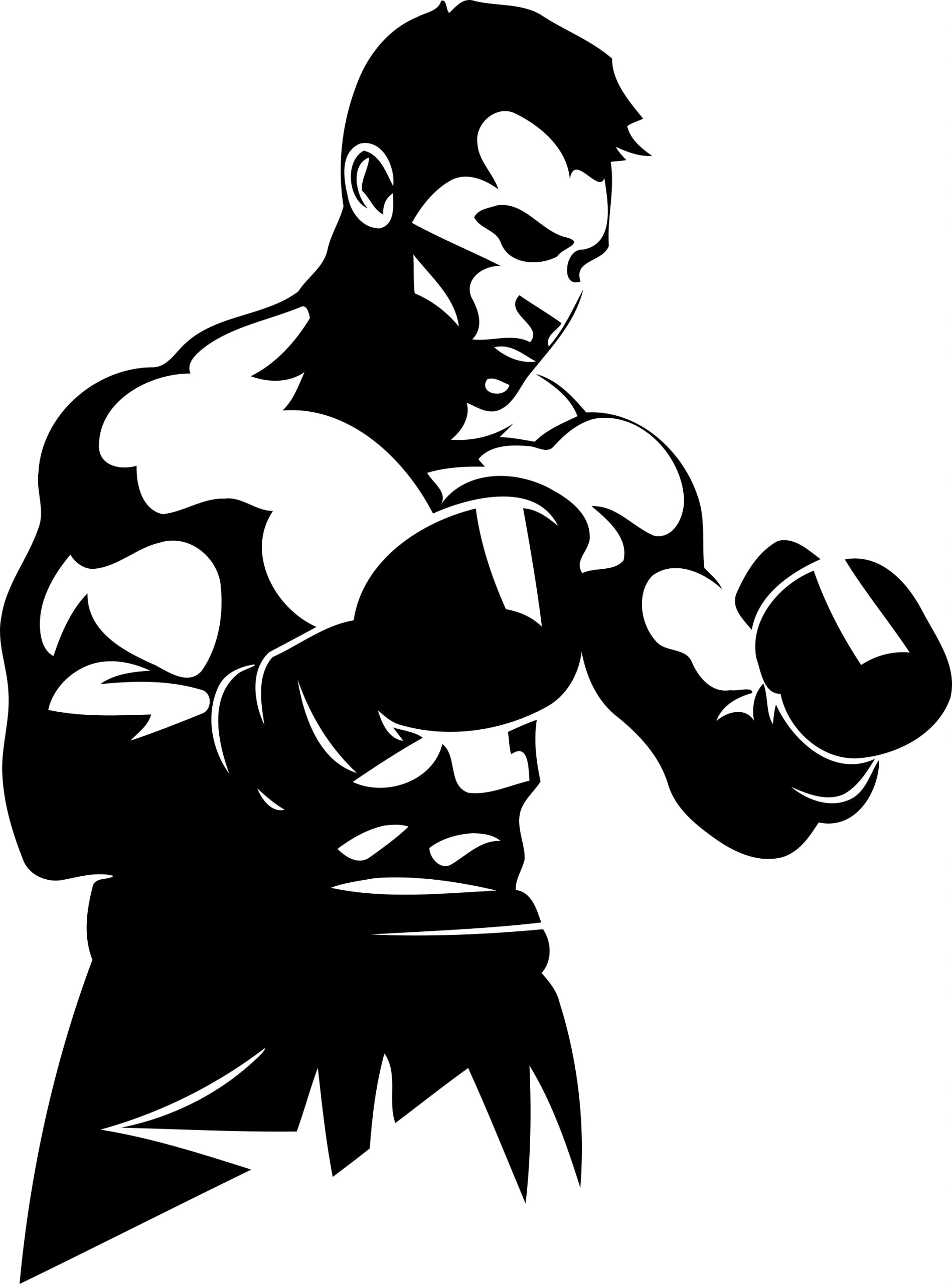 Sticker without background for car BOXER SPORTSMAN 24 x 17,8 cm