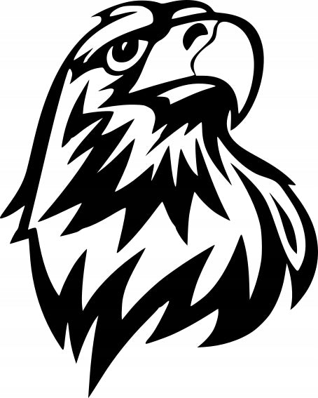 Sticker without background for car EAGLE 12 X 9,6 CM