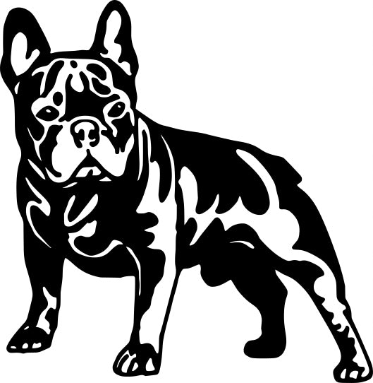 Sticker without background for car FRENCH BULLDOG 14,3 x 14 cm