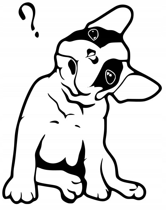 Sticker without background for car FRENCH BULLDOG 15,2 x 12,0 cm