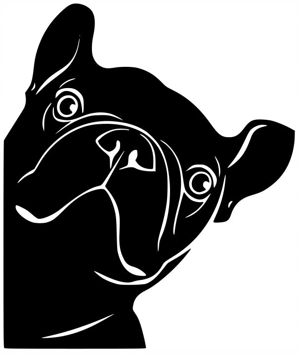 Sticker without background for car FRENCH BULLDOG 16,5 x 14 cm