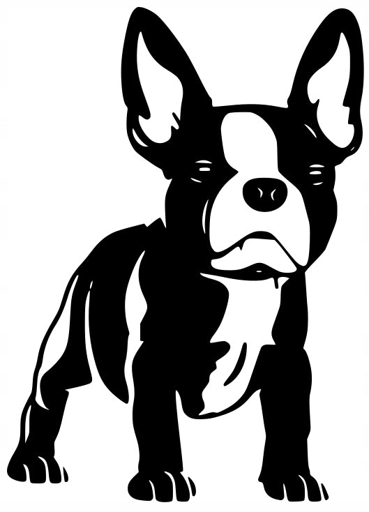 Sticker without background for car FRENCH BULLDOG 19,4 x 14,0 cm