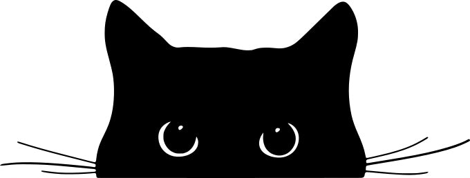 Sticker without background for car KITTEN WITH MUSTACHE 10 x 26,4 cm