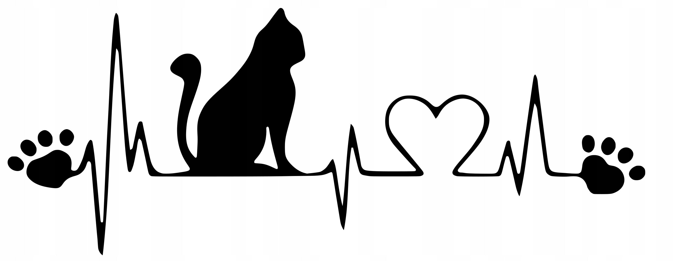 Sticker without background for car KITTEN cat ECG 8,1 x 21,0 cm