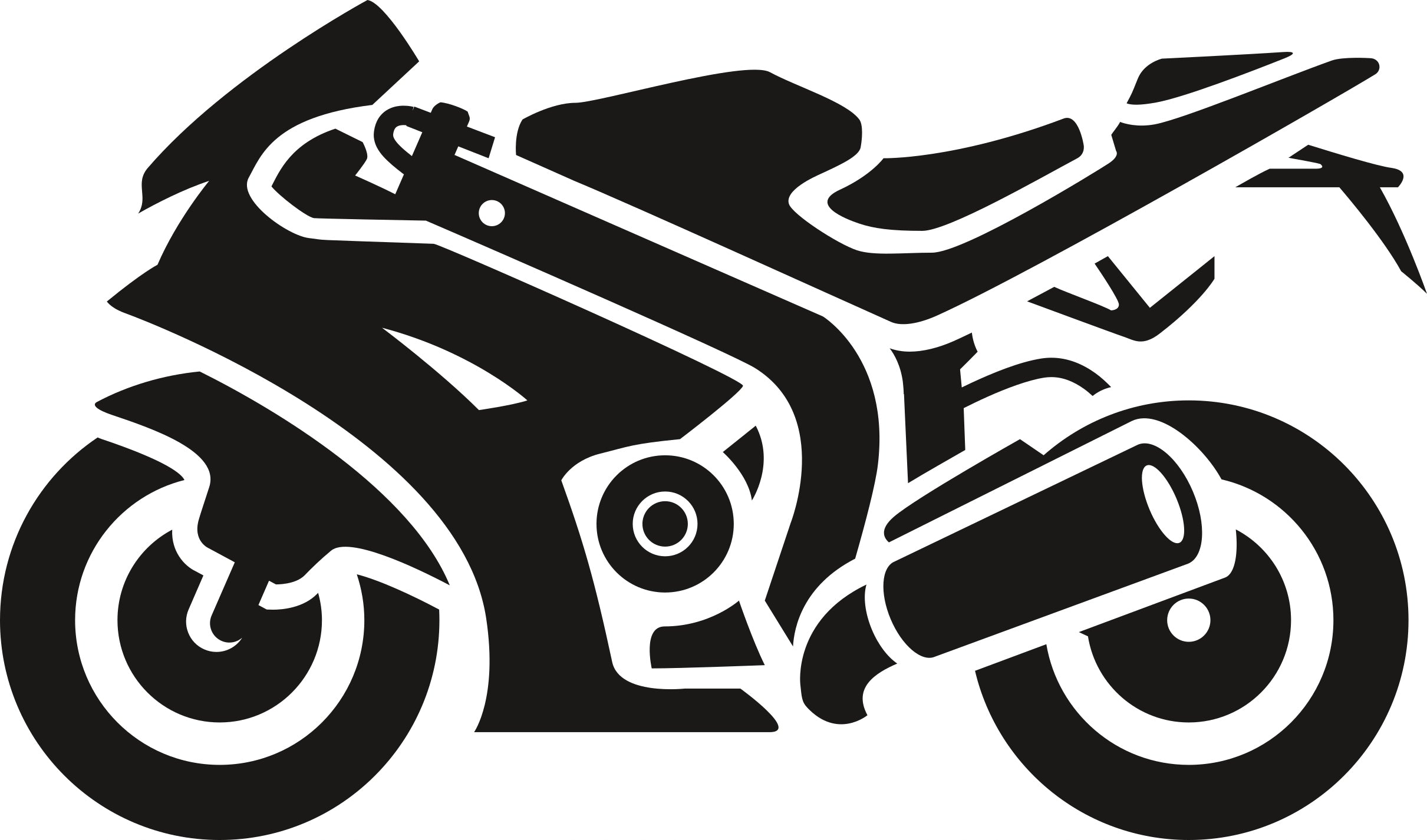 Sticker without background for car MOTORCYCLE RACING 12 x 20,4 cm