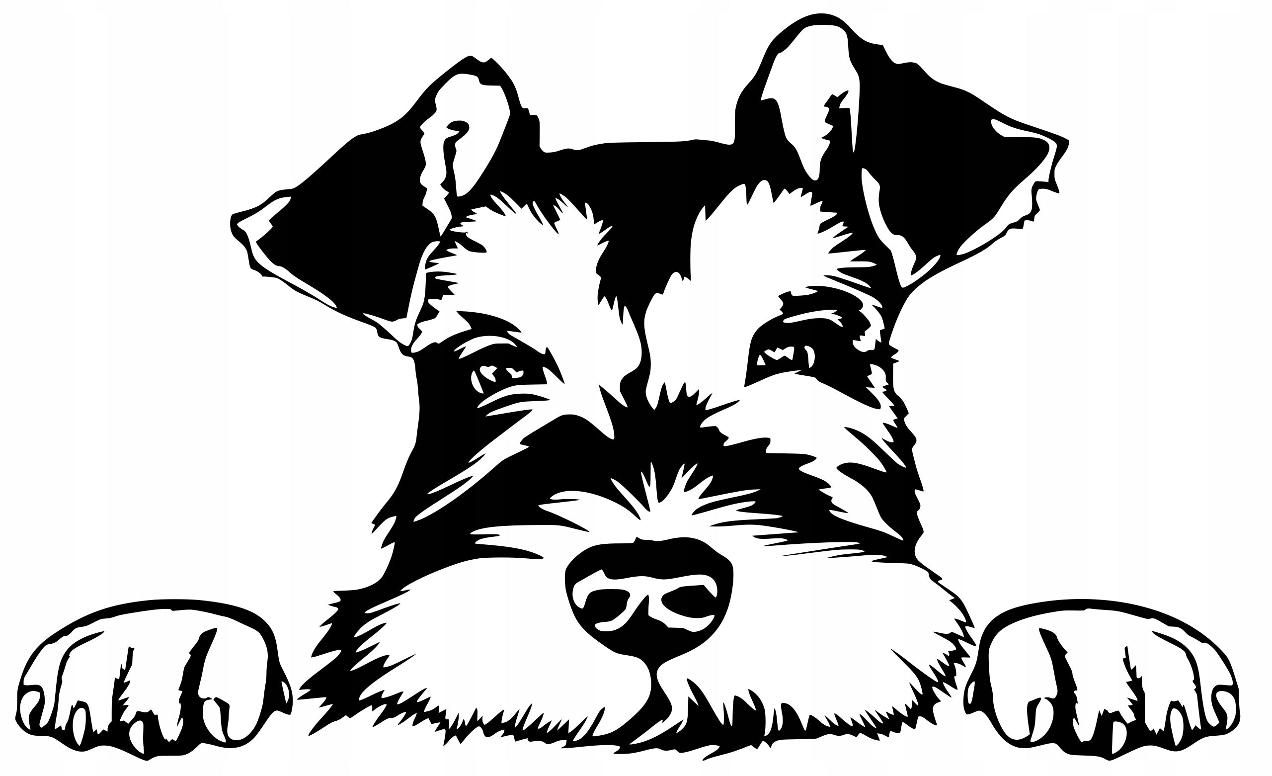 Sticker without background for car SCHNAUCER dog 12 x 19,7 cm