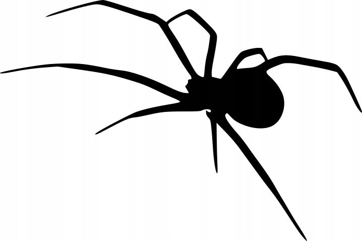 Sticker without background for car SPIDER 14 x 21,0 cm