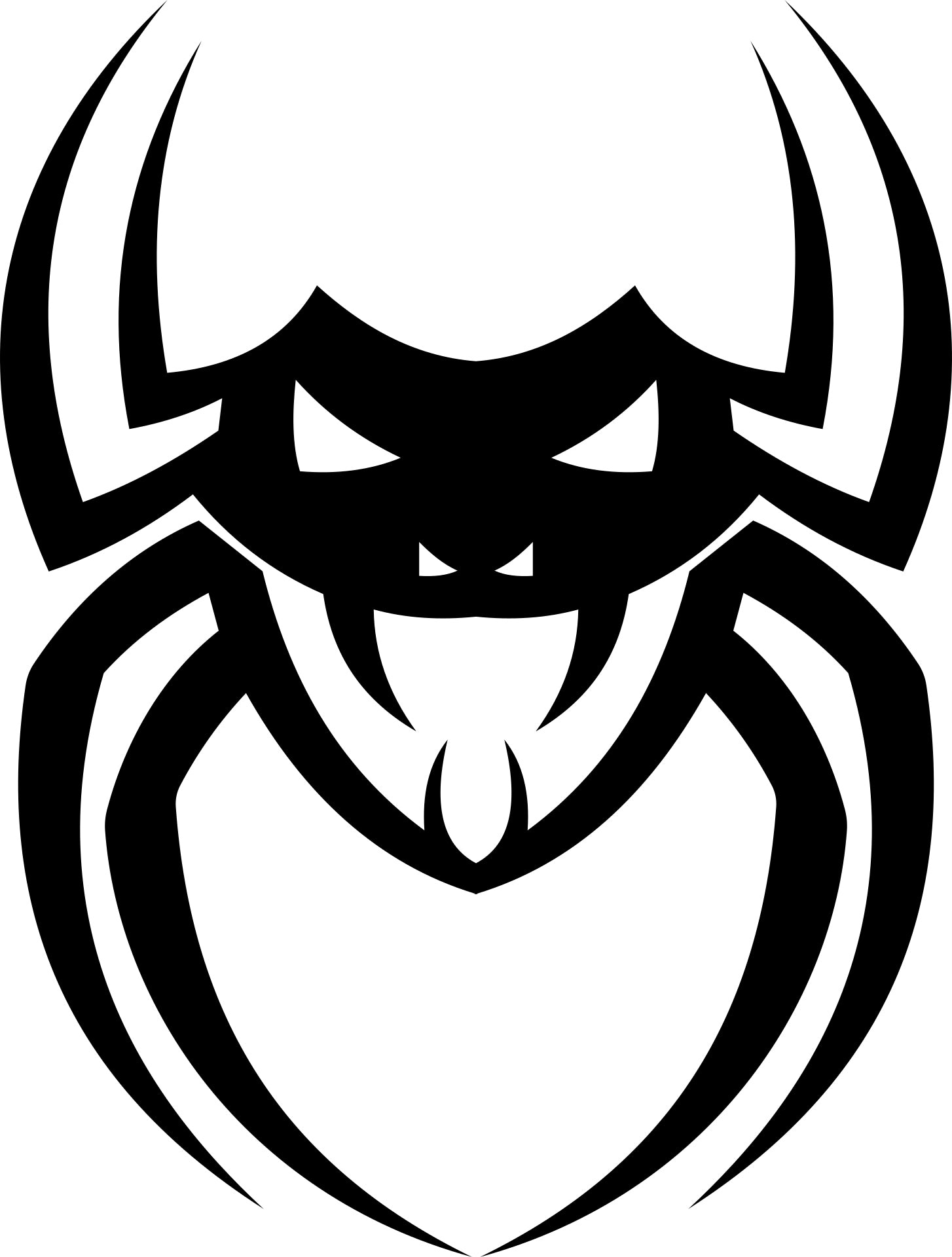 Sticker without background for car SPIDER 21 x 15,9 cm