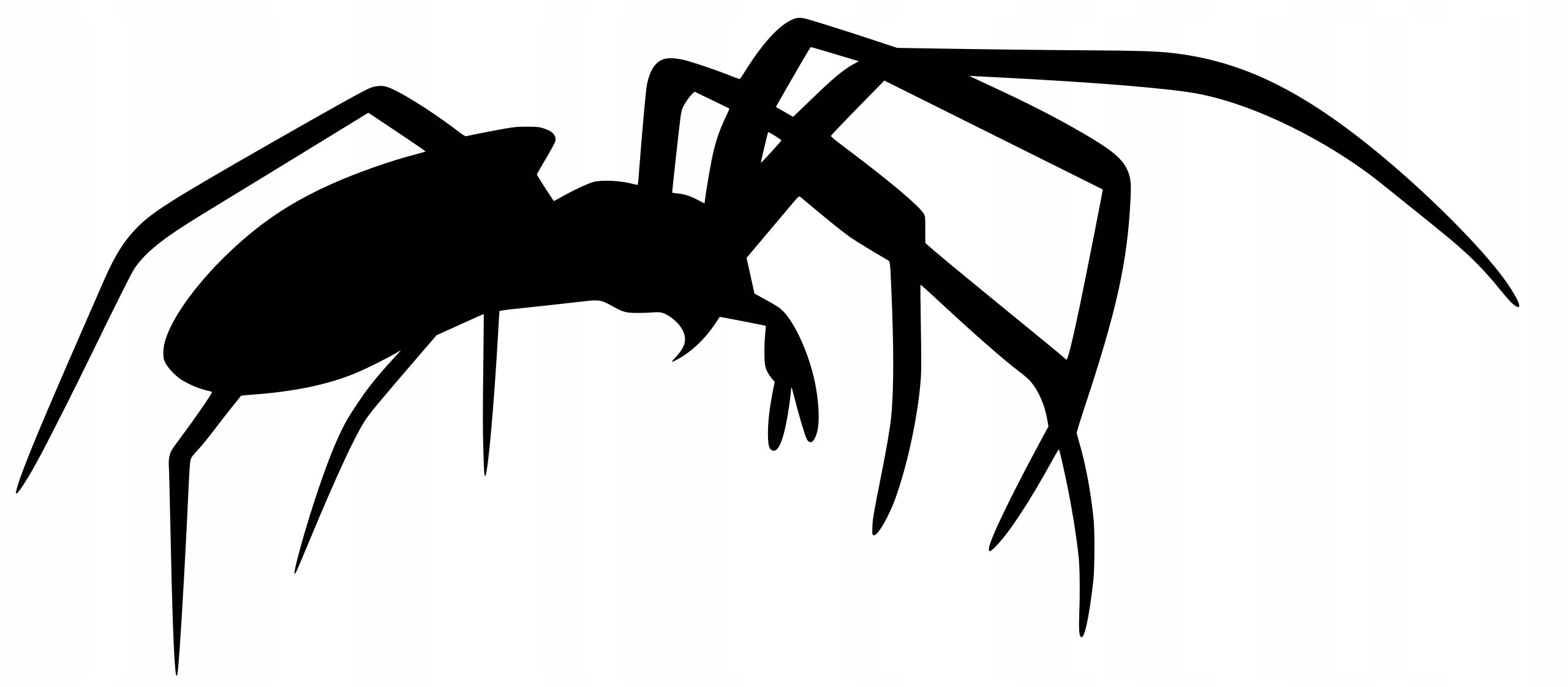Sticker without background for car SPIDER 6 x 13,7 cm