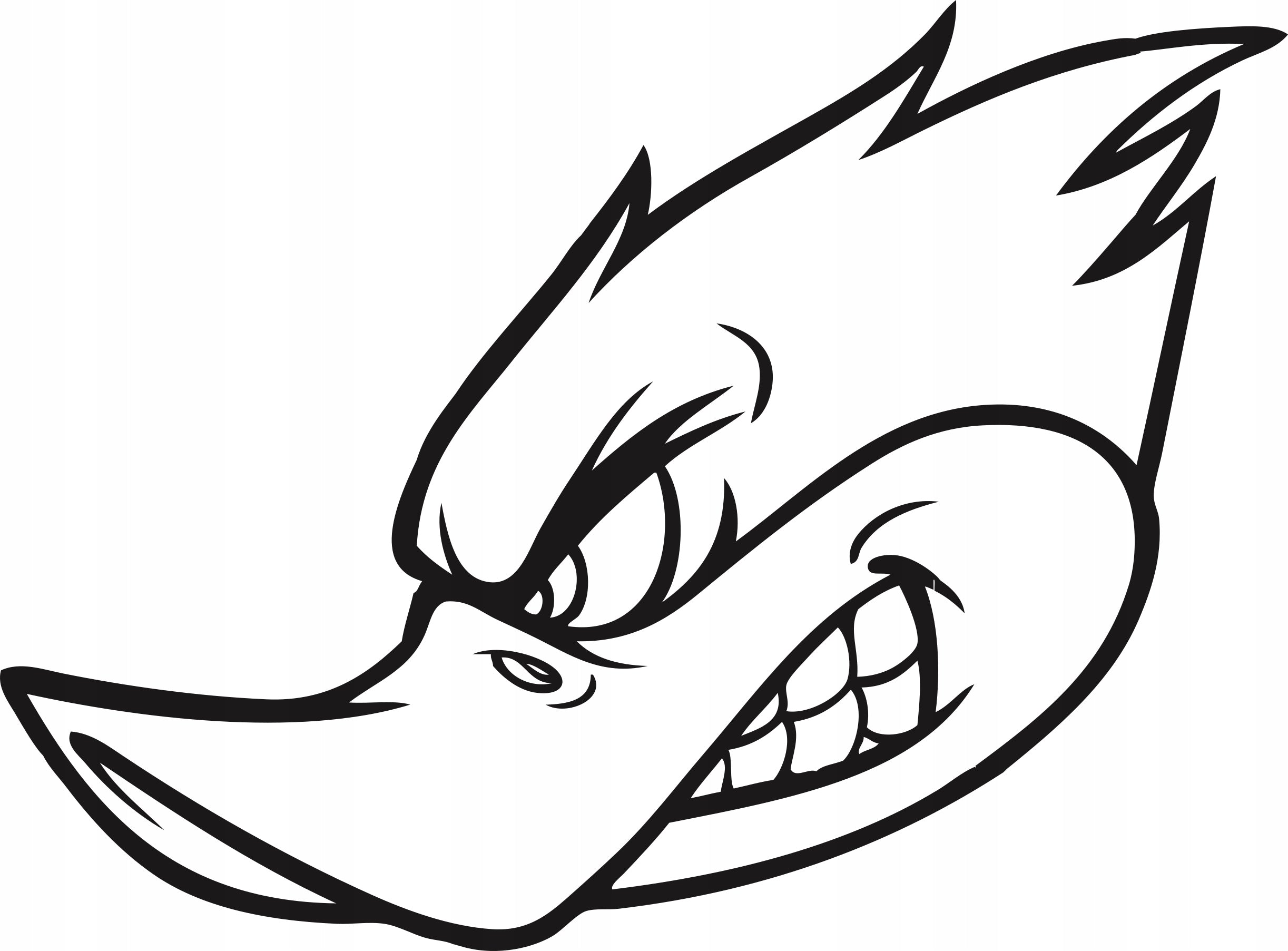 Sticker without background for car beak DUCK 14 x 19,0 cm