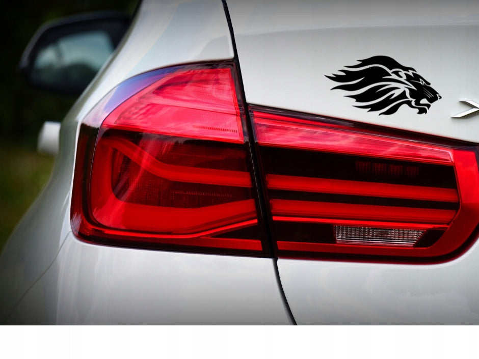 Sticker without background for car laptop trunks LION HEAD WITH MANE 10 x 19,6 cm EAN (GTIN) 5906379674475