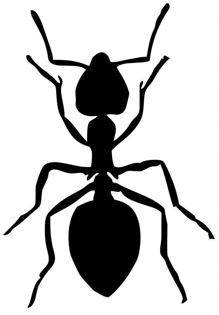 Sticker without background for car motorcycle helmet ANT 15 x 10,4 cm