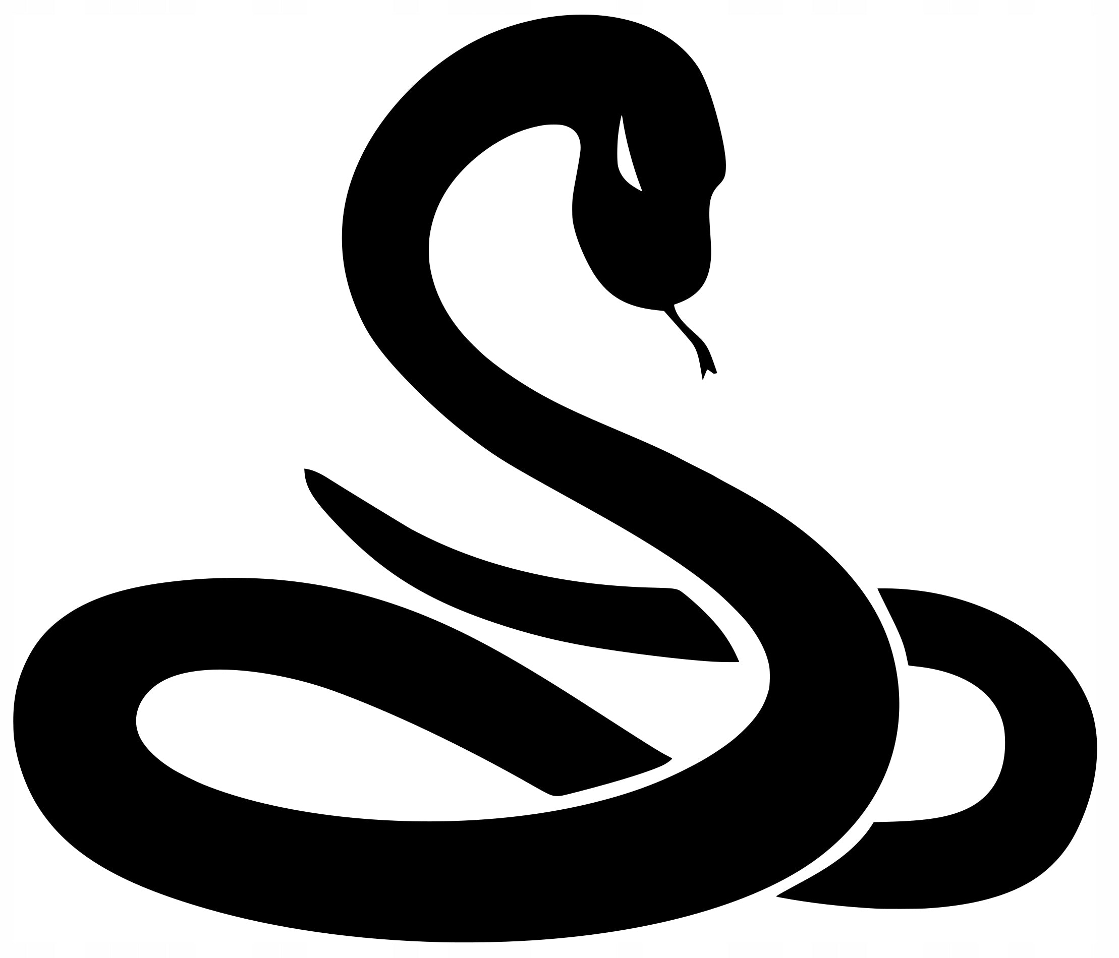 Sticker without background for car motorcycle trunks SNAKE HOSE 12 x 14,0 cm