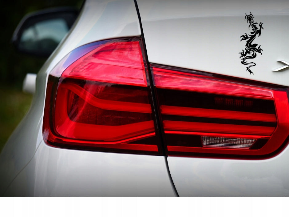 Sticker without background for car trunks helmet DRAGON 21 x 8,2 cm EAN (GTIN) 5906379674024