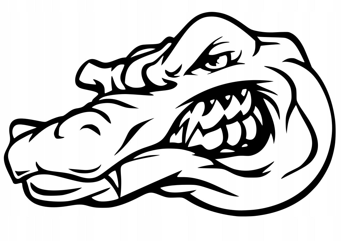 Sticker without background for car trunks stick CROCODILE ALLIGATOR 16 x 26,0 cm