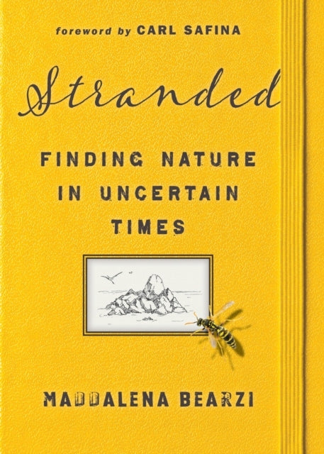 Gestrandet: Die Natur in unsicheren Zeiten finden 