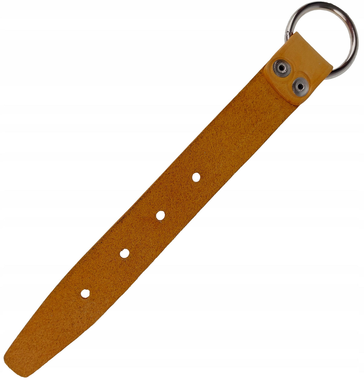 Strap Adjustable for Dog Earring Rymarska Leather Champion R2 Orange Packaging status original