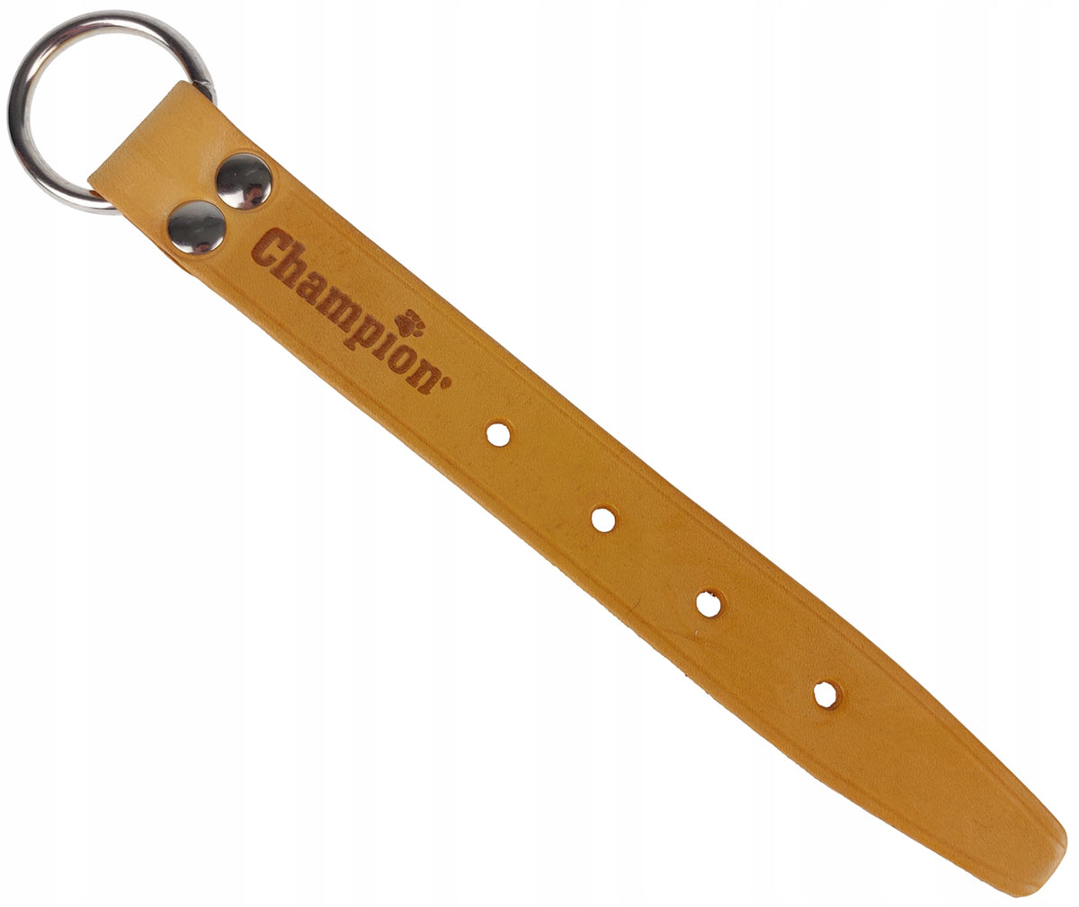 Strap Adjustable for Dog Earring Rymarska Leather Champion R2 Orange
