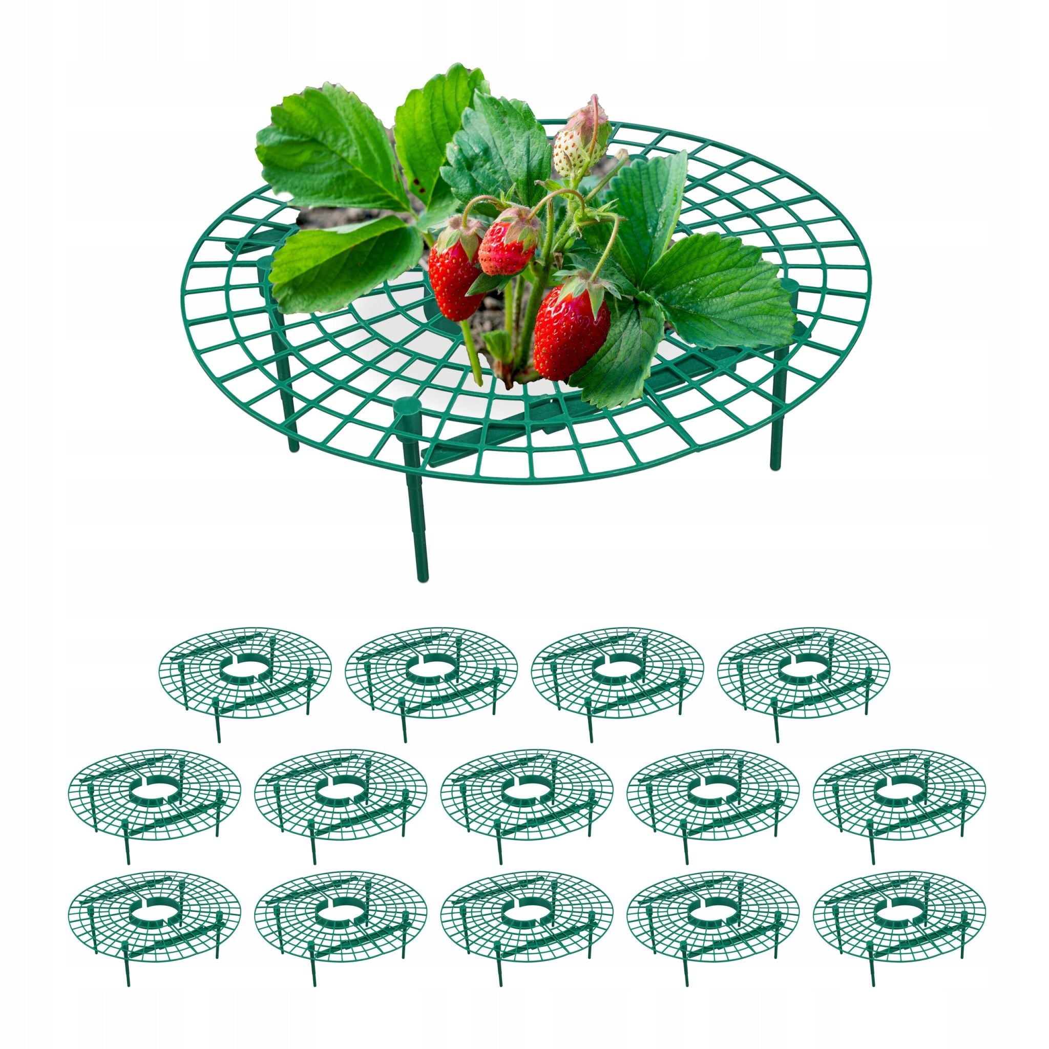 Strawberry pad RD49614, 15 pcs.