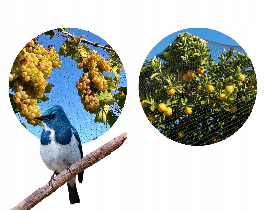 Strong bird net against birds starlings 4x10m Manufacturer code SPP0410