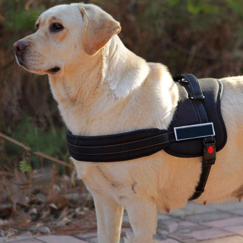 Strong dog harness, PRESSURE-FREE SHEEP DOG, size. M Brand Reverse