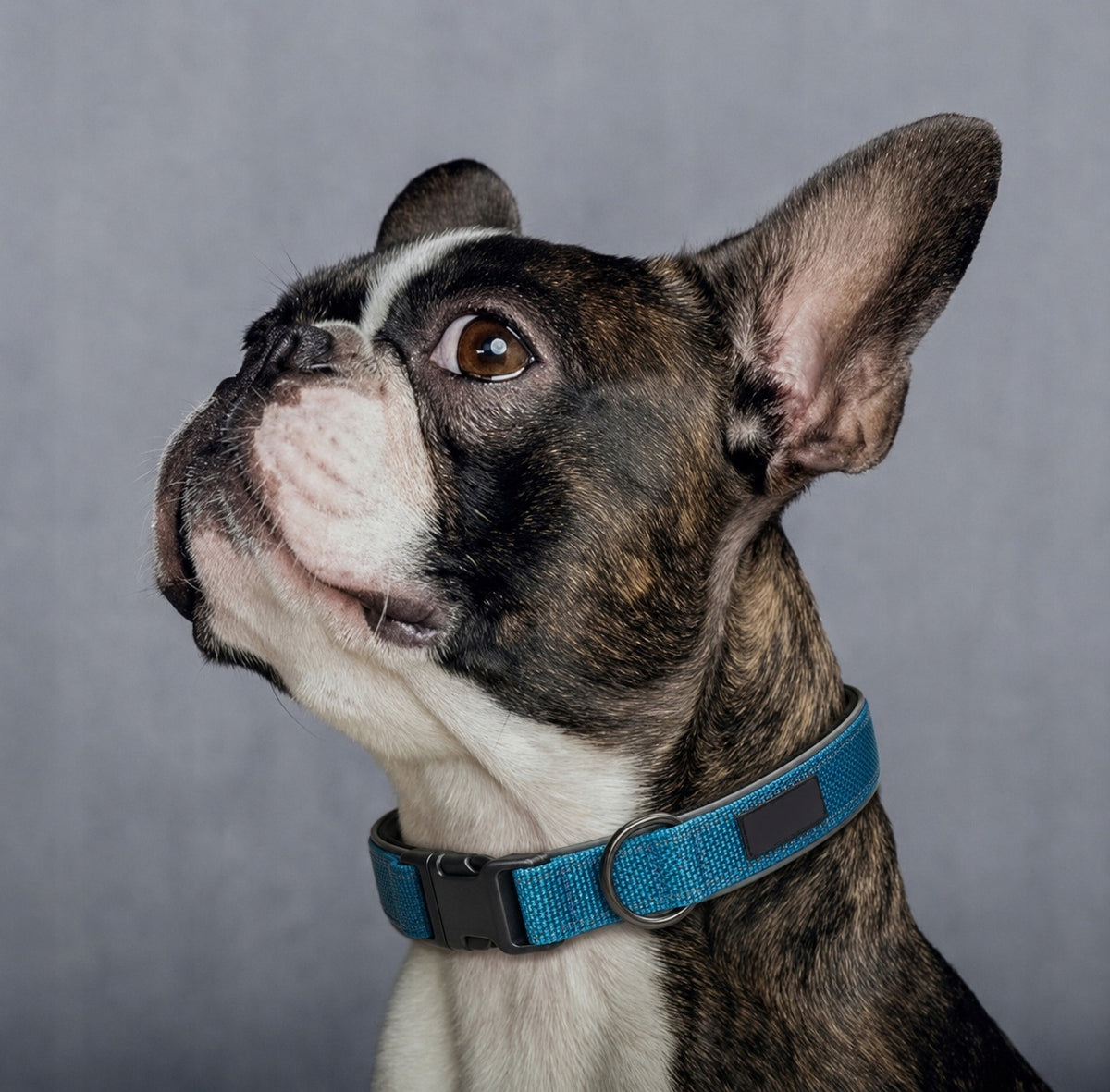 Strong, reflective dog collar blue L Manufacturer code FD3