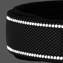 Sturdy dog collar with adjustable black M Manufacturer code FD1