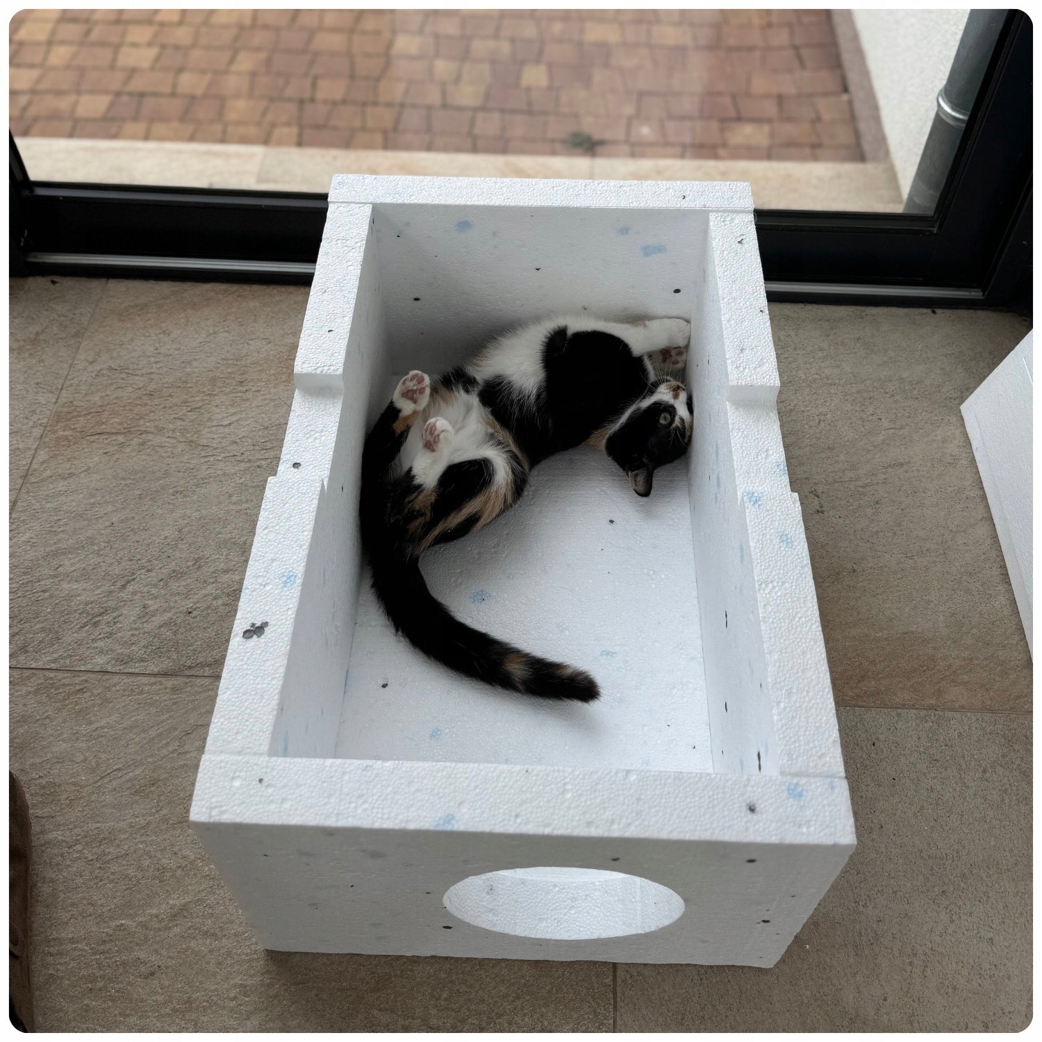 Styrofoam CAT booth COTTAGE WARM box 59 x 39 x 30 cm outside Trade name Budka na zewnątrz dla kota