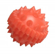 Su Jok orange massage chestnut