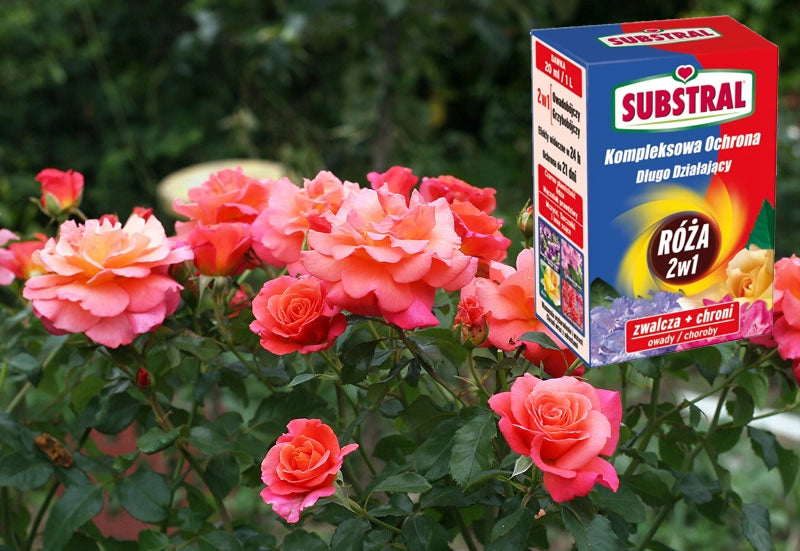 Substral ROSE 2in1 fights 100 ml Form liquid