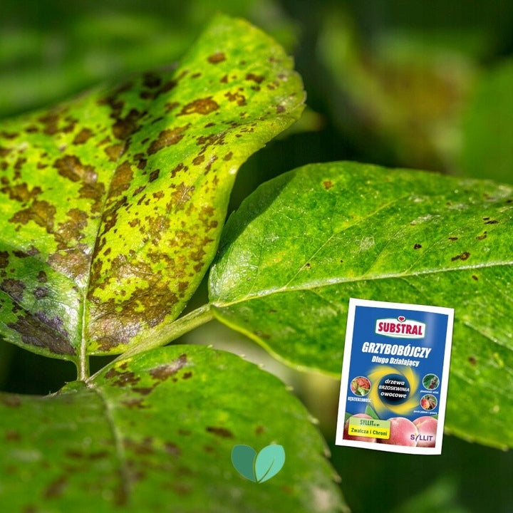 Substral Syllit 65WP Fungicide Fights and Protects 45 g Manufacturer Substral