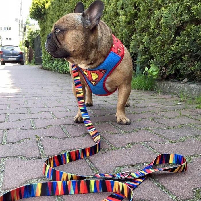 Super Dog Harness Psiakrew XL Packaging status original