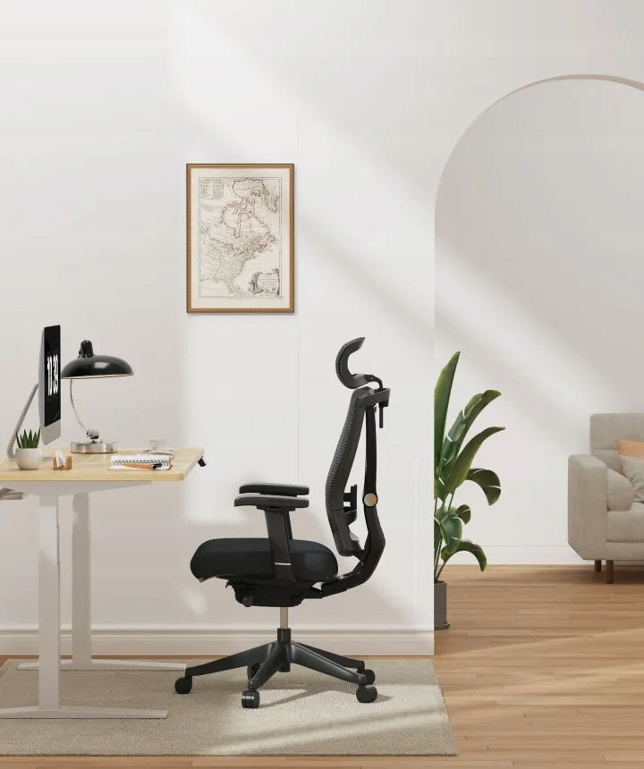 Swivel chair Flexispot black Manufacturer code 810072843531