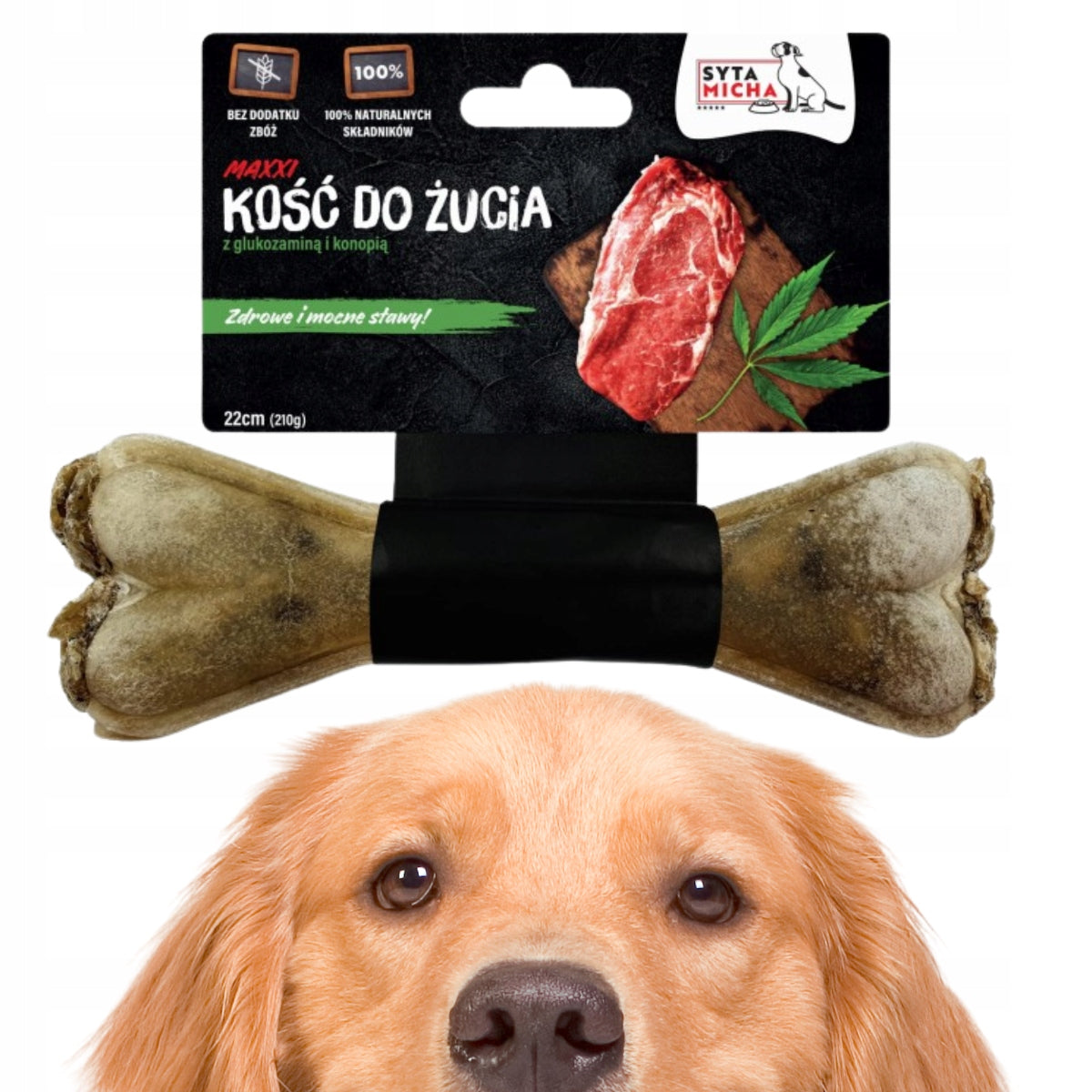 Syta Micha Dog chewing bone for strong joints 22 cm MAXXI