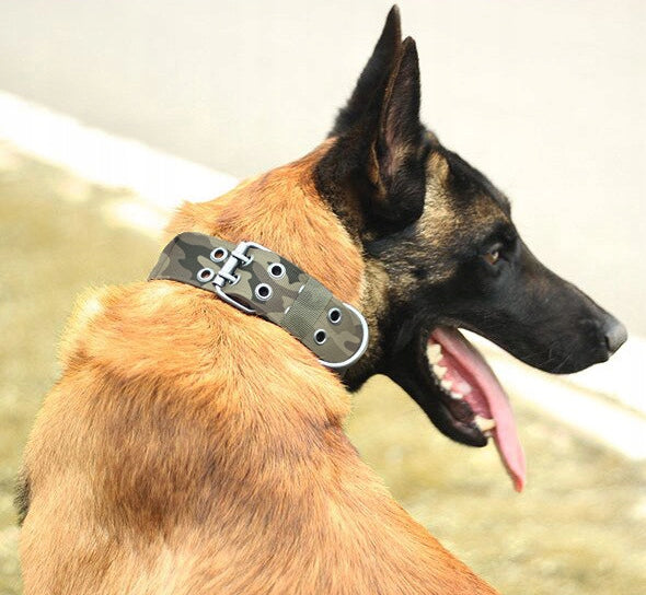 TACTICAL DOG COLLAR WIDE 45-57cm + ENGRAVING Brand Reverse