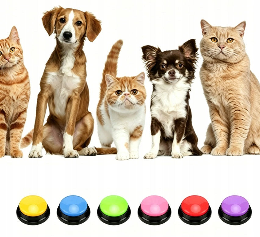 TALKING BUTTONS RECORDED FOR DOG COMMUNICATION TRAINING AT HOME 6X LEARNING Brand no brand