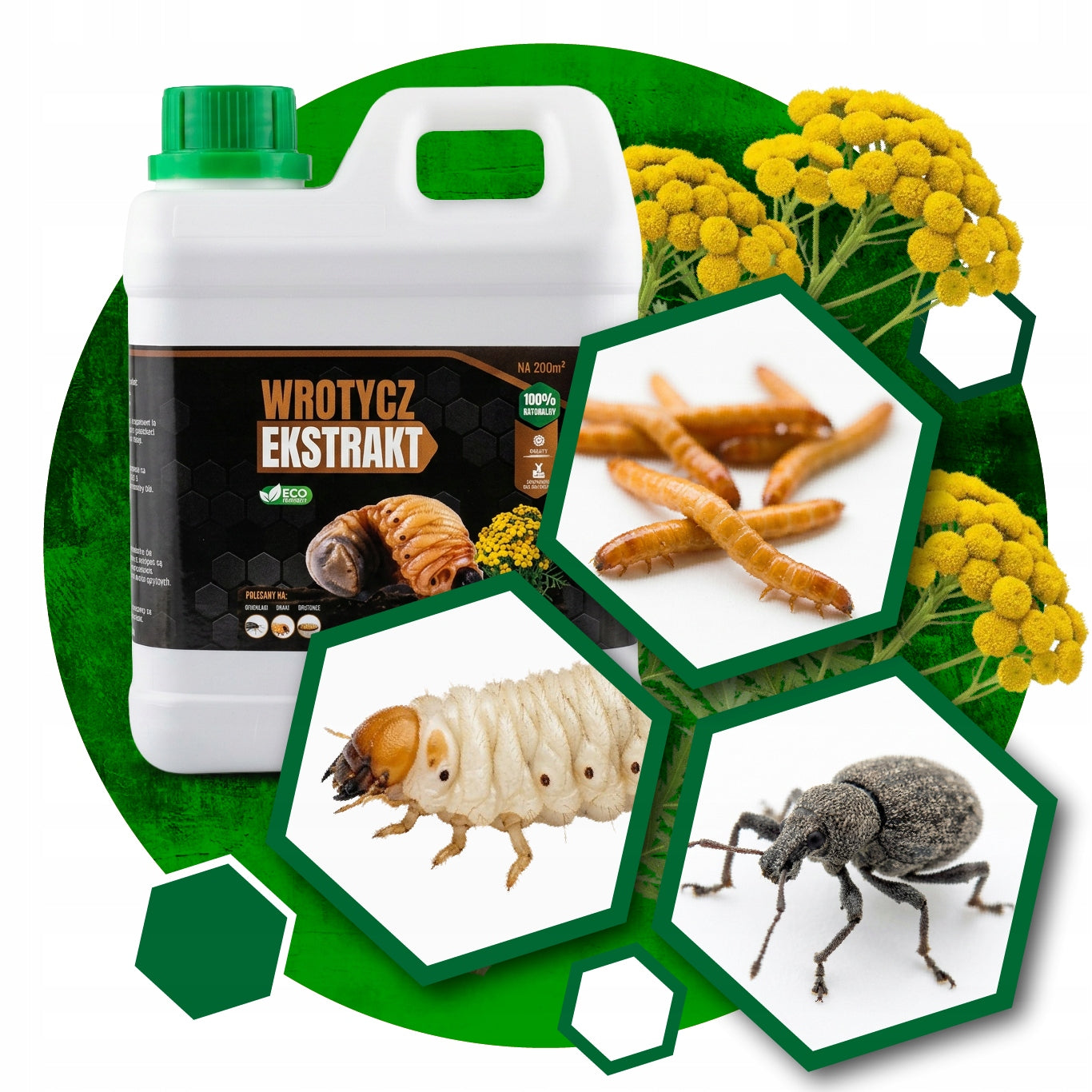 TANSY EXTRACT 2l FIGHTS SWELLING WIRE BLADES IN THE SOIL AT 200m2 Packaging status original