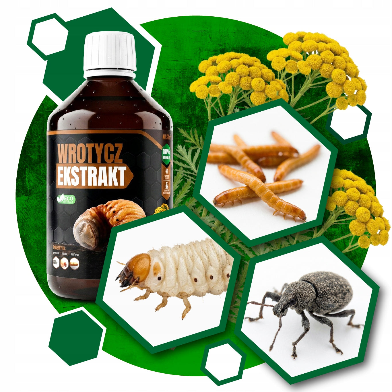 TANSY EXTRACT 500ml FOR SHOOTS SWELLING WIRE IN SOIL 0,5l per 50m2 Packaging status original