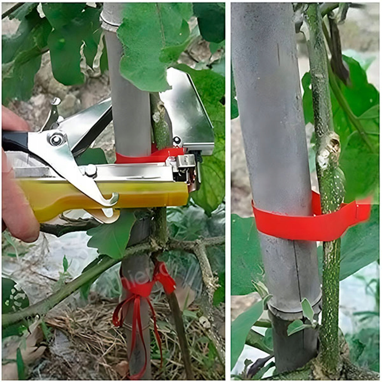 TAPENER GARDEN STAPLER FOR BINDING NURSERY PLANTS + TAPES SET Manufacturer code Garden_Maker_wiązacz_do_roślin