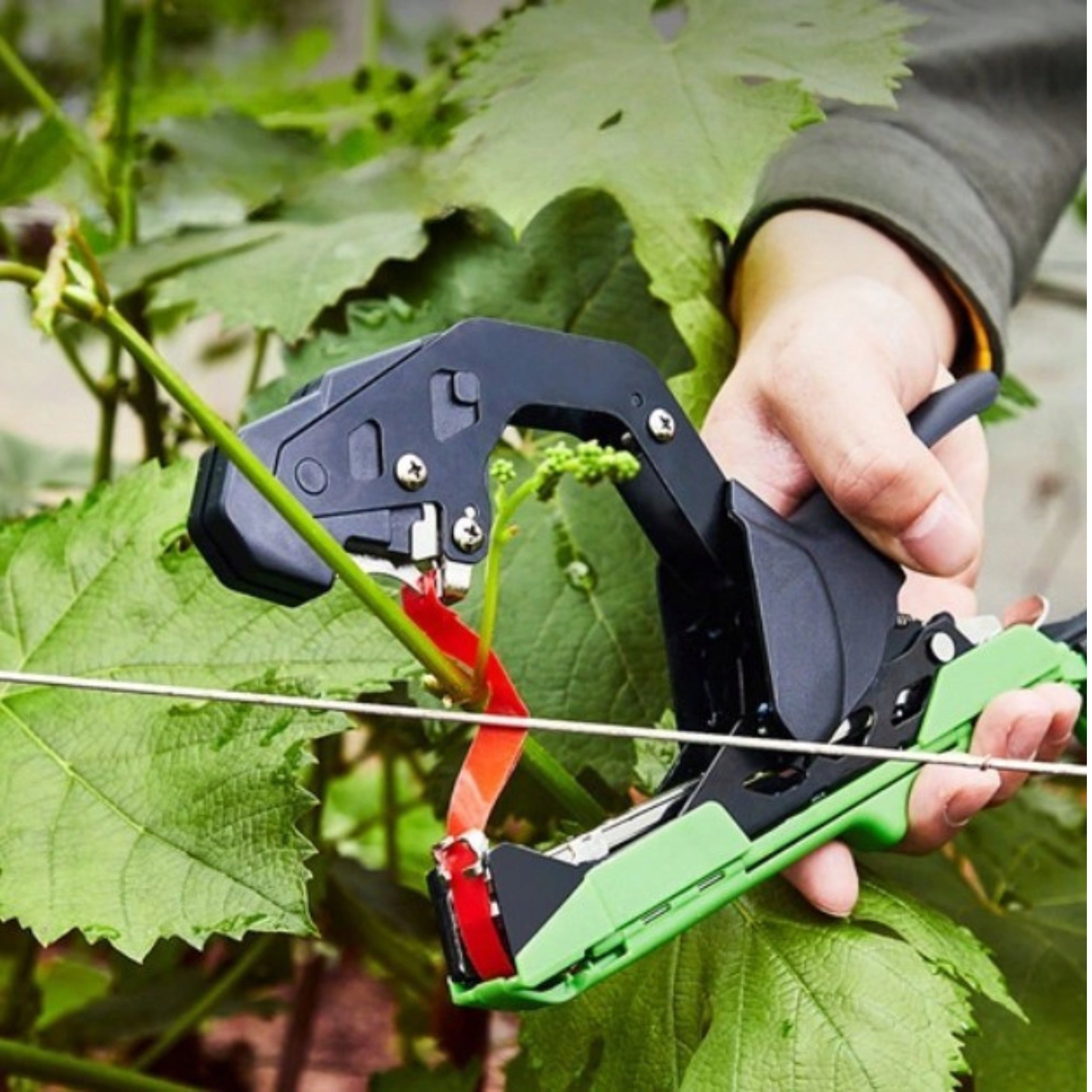 TAPENER GARDEN STAPLER FOR PLANT BINDING 3RD GENERATION PROFESSIONAL Manufacturer code NARZĘDZIE DO PODWIĄZANIA ROŚLIN