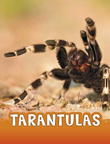 Tarantel 