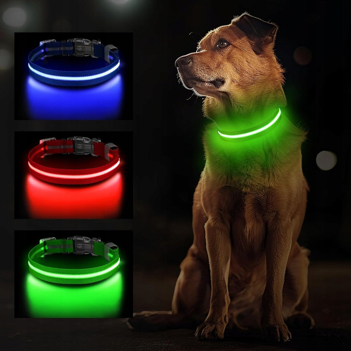 TC5100 Rechargeable Glowing LED Dog Collar M- 3 Light Modes