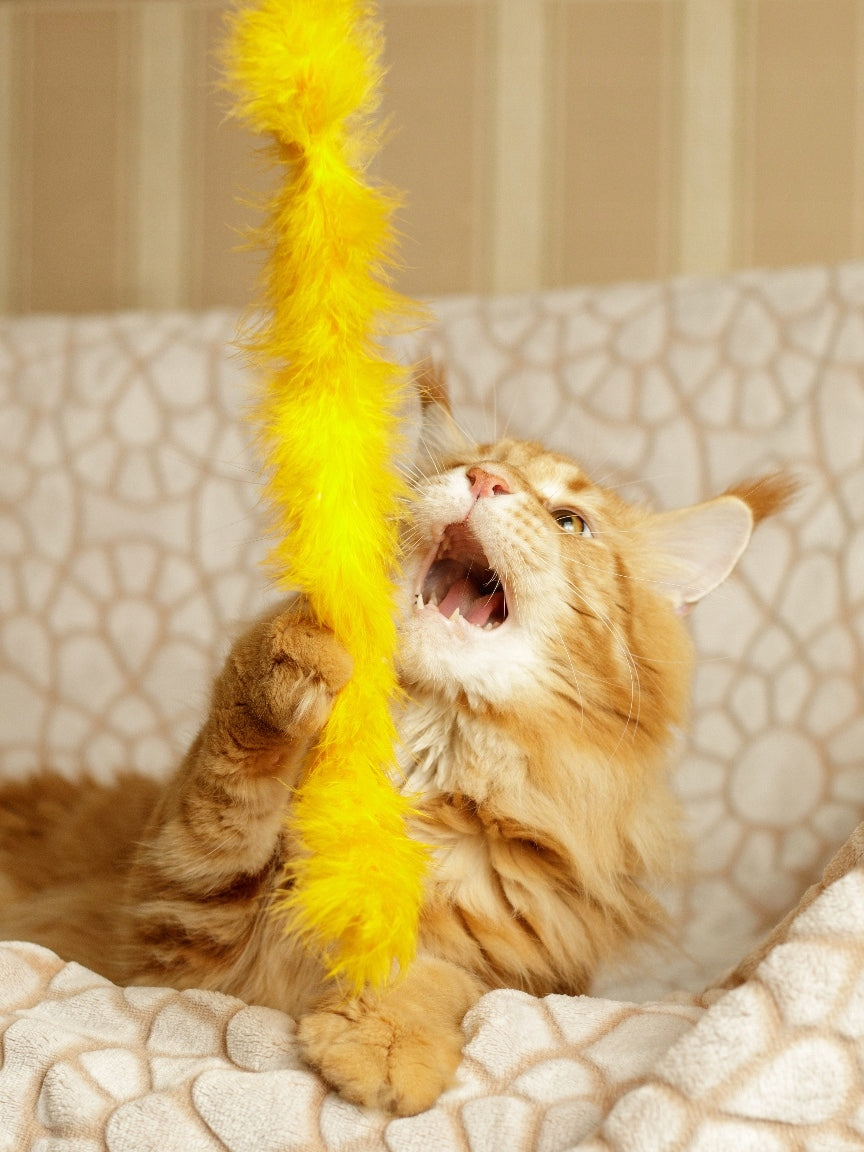 TEASER-THIMBLE FOR CATS WITH NATURAL FEATHERS AND ORGANIC DYES Kind fishing rods