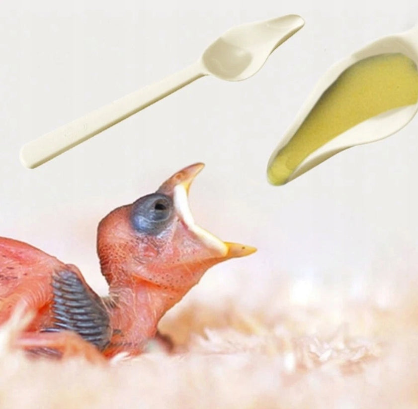 TEASPOON FOR HAND FEEDING BIRDS CHICKS TEASPOON ANIMALS LARGE Manufacturer code ŁKP2