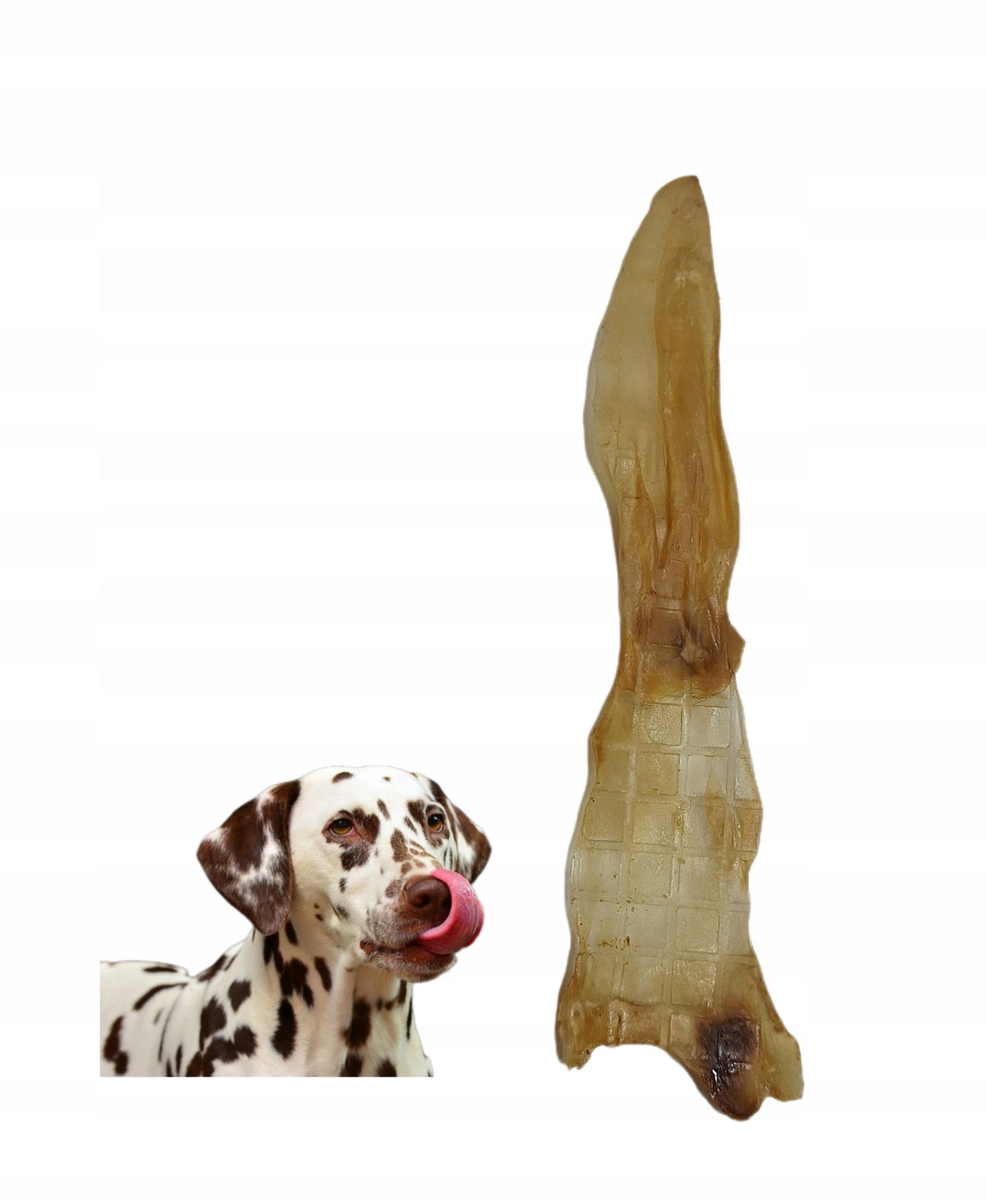 TEETHER DOG TREATS RABBIT EAR NATURAL 1pc DOG FLAVOR